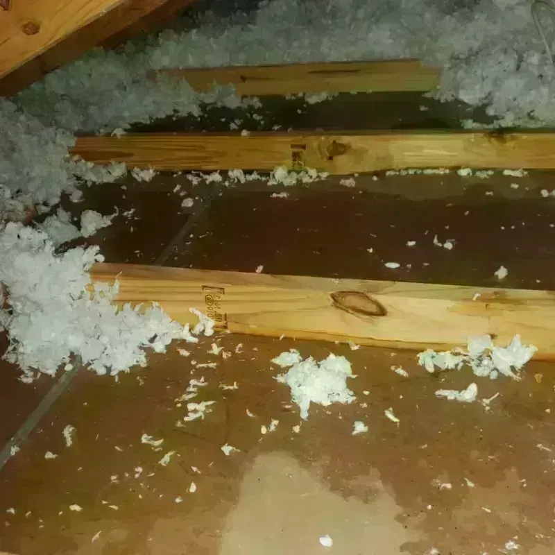 Attic Water Damage in Huntington Beach, CA