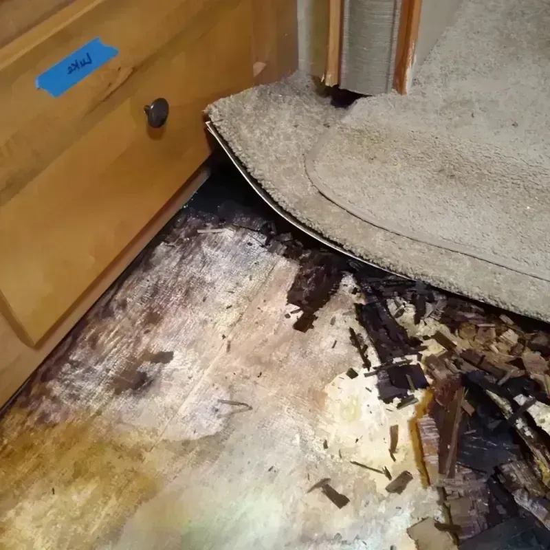 Best Wood Floor Water Damage Service in Huntington Beach, CA